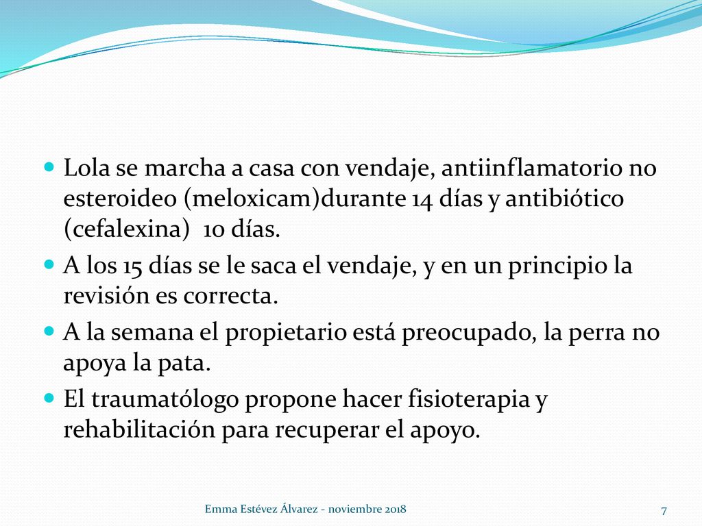 A la semana el propietario está preocupado, la perra no apoya la pata.