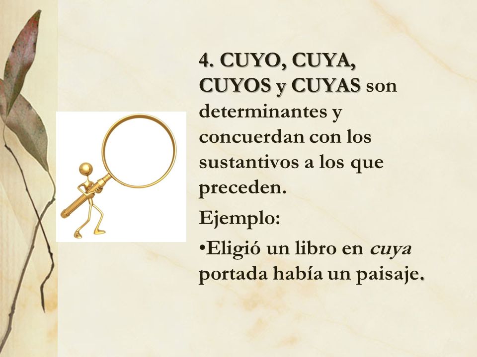 4. CUYO, CUYA, CUYOS y CUYAS son determinantes y concuerdan con los sustantivos a los que preceden.