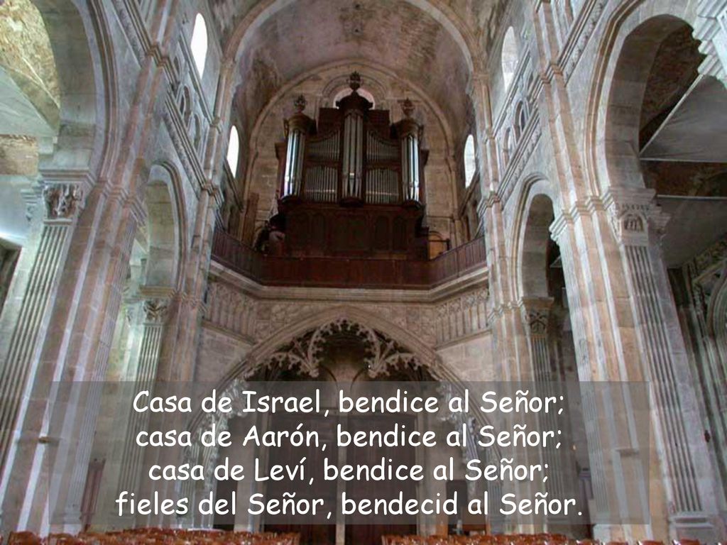 Casa de Israel, bendice al Señor; casa de Aarón, bendice al Señor; casa de Leví, bendice al Señor; fieles del Señor, bendecid al Señor.