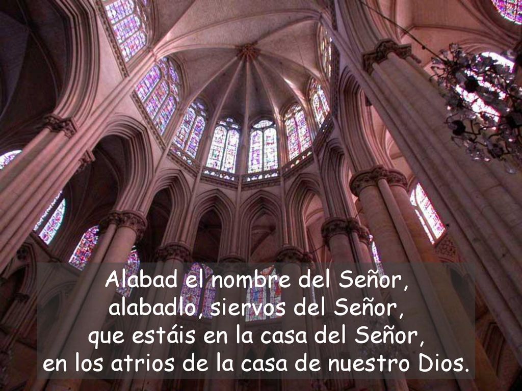 Alabad el nombre del Señor, alabadlo, siervos del Señor, que estáis en la casa del Señor, en los atrios de la casa de nuestro Dios.