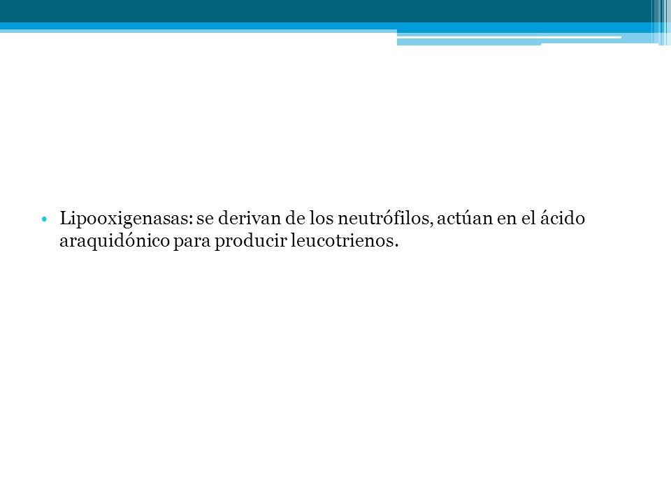 Lipooxigenasas: se derivan de los neutrófilos, actúan en el ácido araquidónico para producir leucotrienos.