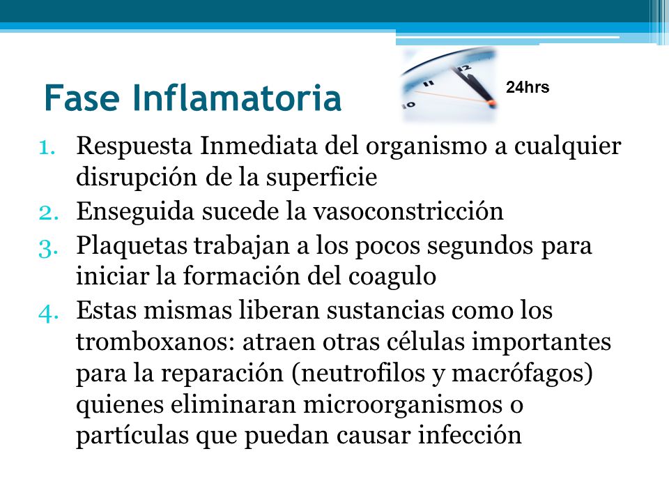 Fase Inflamatoria 24hrs. Respuesta Inmediata del organismo a cualquier disrupción de la superficie.