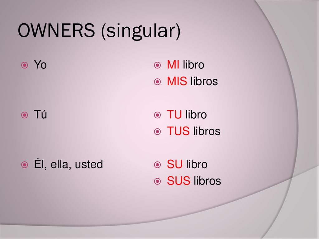 OWNERS (singular) Yo Tú Él, ella, usted MI libro MIS libros TU libro