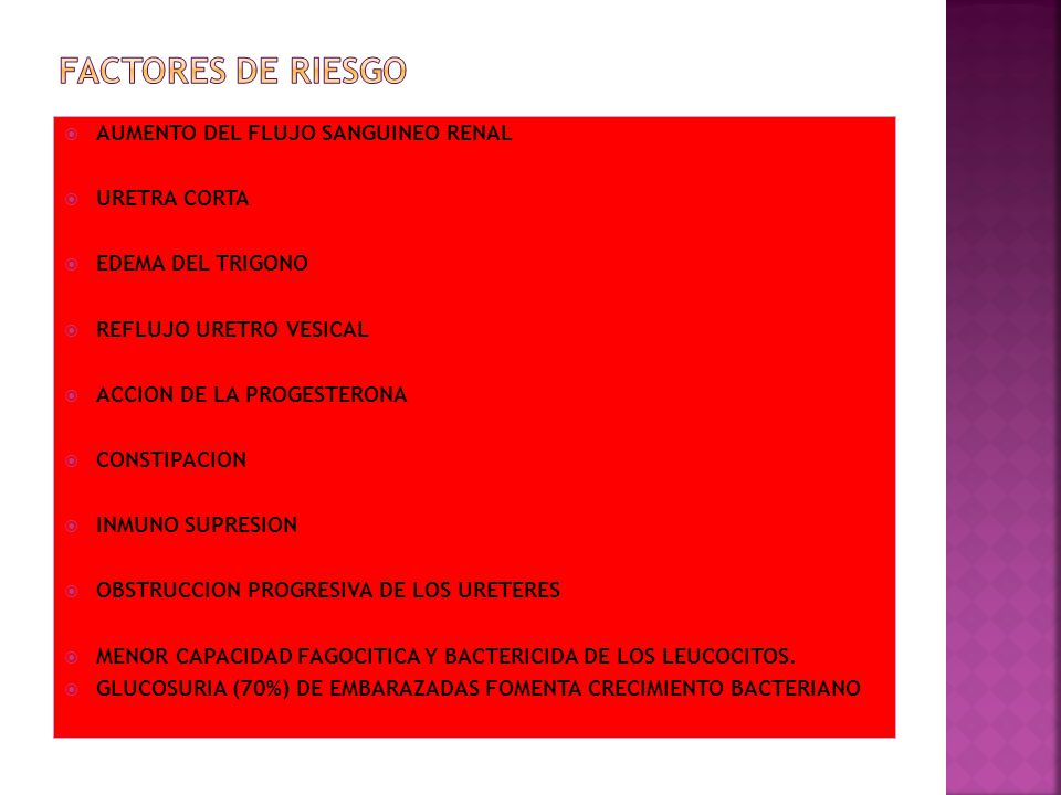 FACTORES DE RIESGO AUMENTO DEL FLUJO SANGUINEO RENAL URETRA CORTA