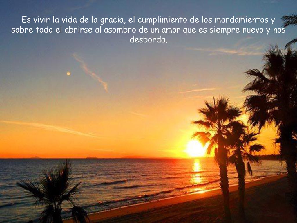 Es vivir la vida de la gracia, el cumplimiento de los mandamientos y sobre todo el abrirse al asombro de un amor que es siempre nuevo y nos desborda.
