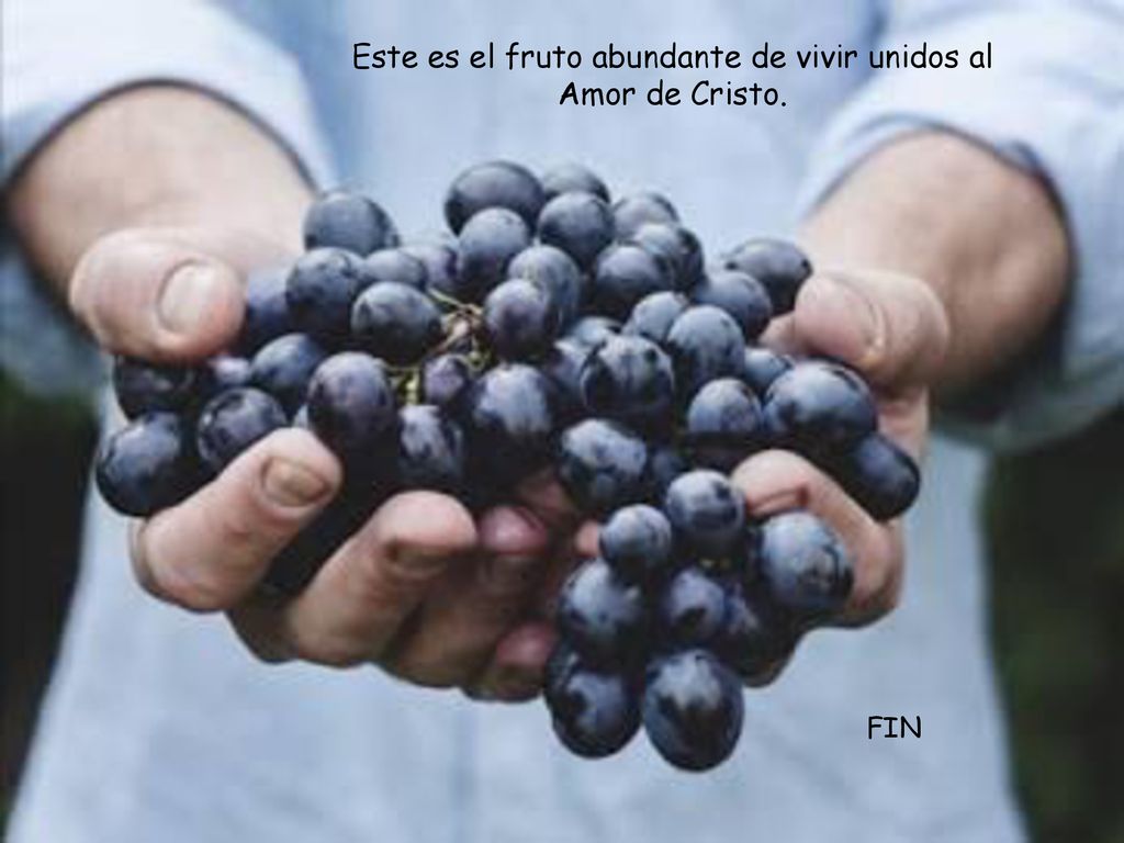 Este es el fruto abundante de vivir unidos al Amor de Cristo.