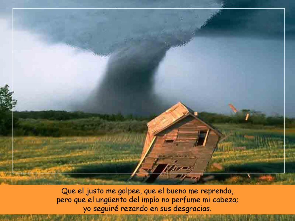 Que el justo me golpee, que el bueno me reprenda, pero que el ungüento del impío no perfume mi cabeza; yo seguiré rezando en sus desgracias.