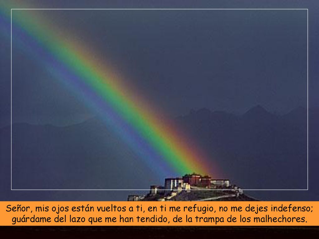 Señor, mis ojos están vueltos a ti, en ti me refugio, no me dejes indefenso; guárdame del lazo que me han tendido, de la trampa de los malhechores.