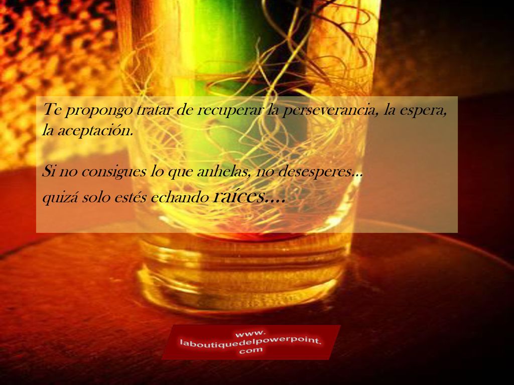 Te propongo tratar de recuperar la perseverancia, la espera, la aceptación.