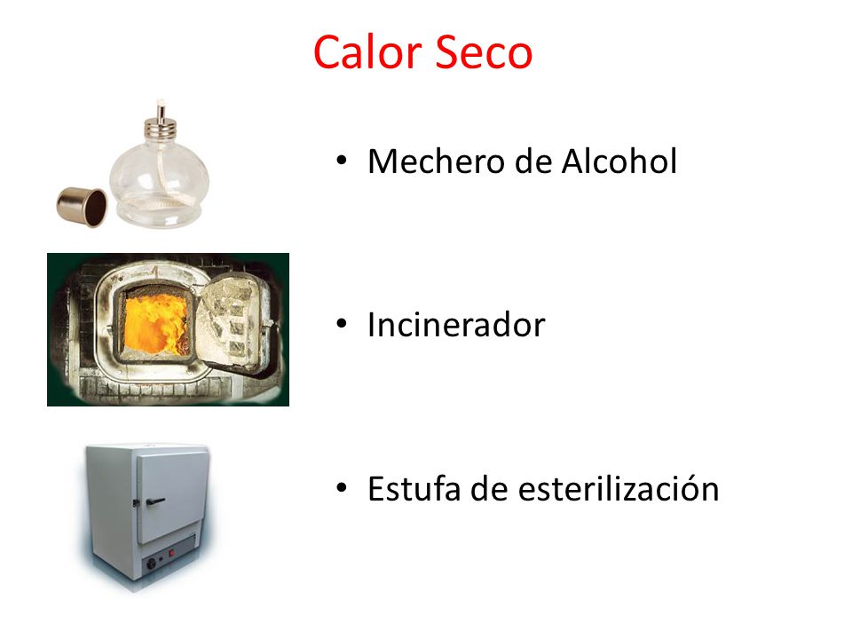 Calor Seco Mechero de Alcohol Incinerador Estufa de esterilización
