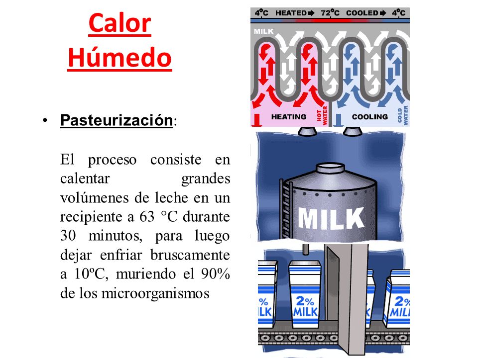 Calor Húmedo Pasteurización: