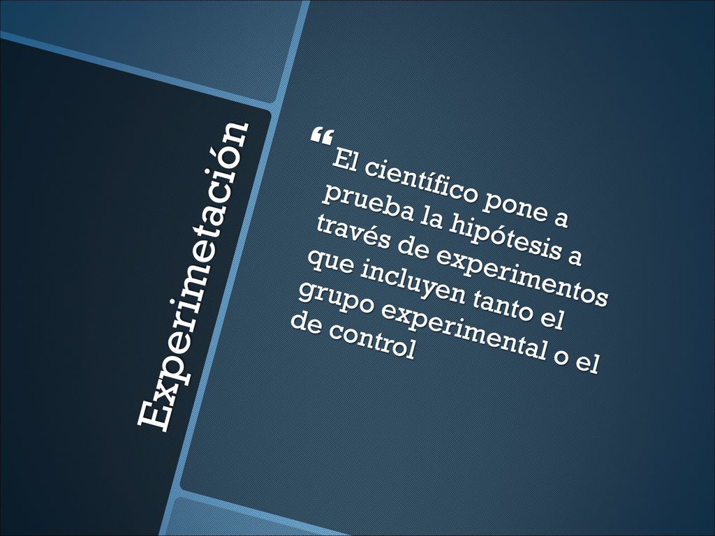 El científico pone a prueba la hipótesis a través de experimentos que incluyen tanto el grupo experimental o el de control