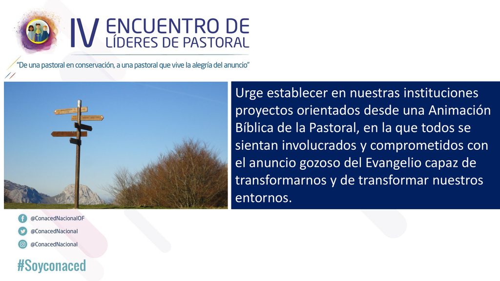 Urge establecer en nuestras instituciones proyectos orientados desde una Animación Bíblica de la Pastoral, en la que todos se sientan involucrados y comprometidos con el anuncio gozoso del Evangelio capaz de transformarnos y de transformar nuestros entornos.