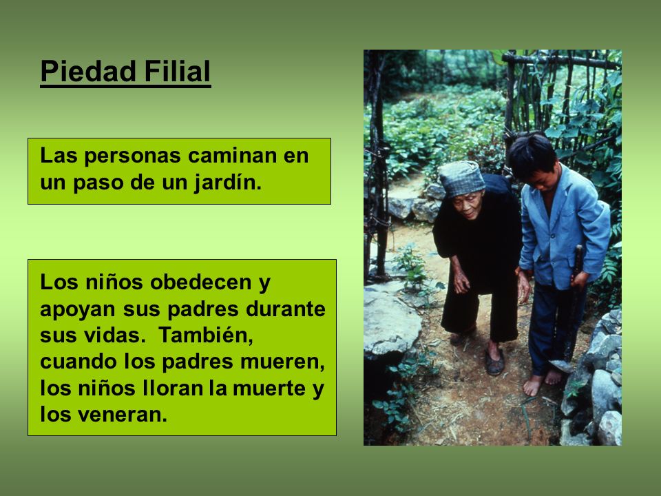 Piedad Filial Las personas caminan en un paso de un jardín.