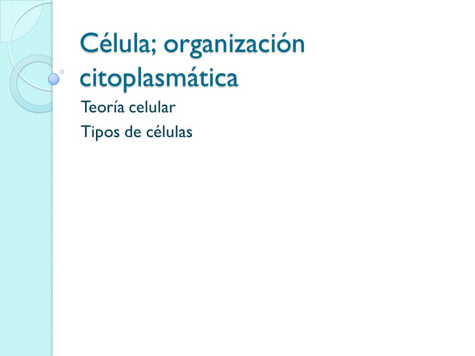 Célula; organización citoplasmática