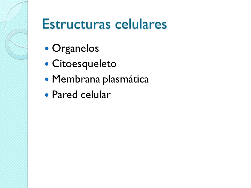 Estructuras celulares