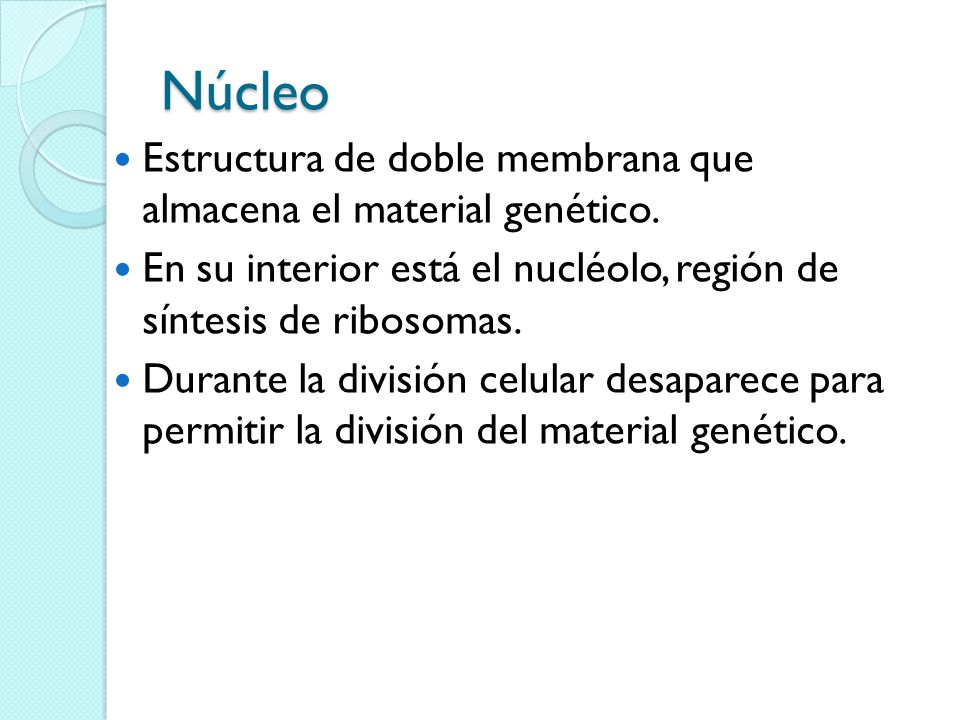 Núcleo Estructura de doble membrana que almacena el material genético.