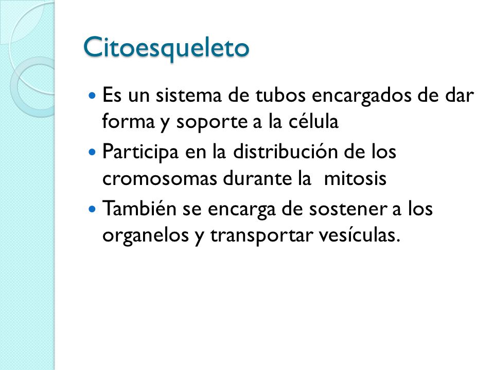 Citoesqueleto Es un sistema de tubos encargados de dar forma y soporte a la célula.