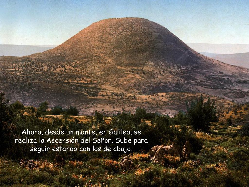 Ahora, desde un monte, en Galilea, se realiza la Ascensión del Señor