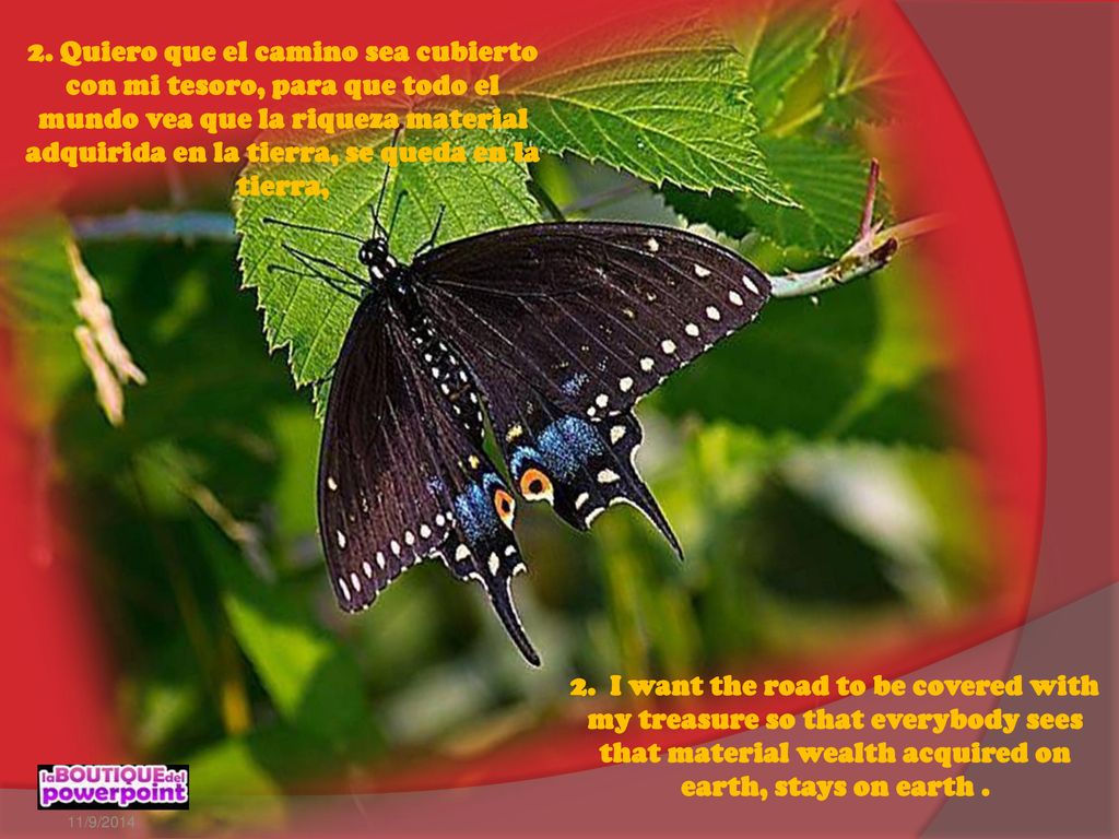 2. Quiero que el camino sea cubierto con mi tesoro, para que todo el mundo vea que la riqueza material adquirida en la tierra, se queda en la tierra,