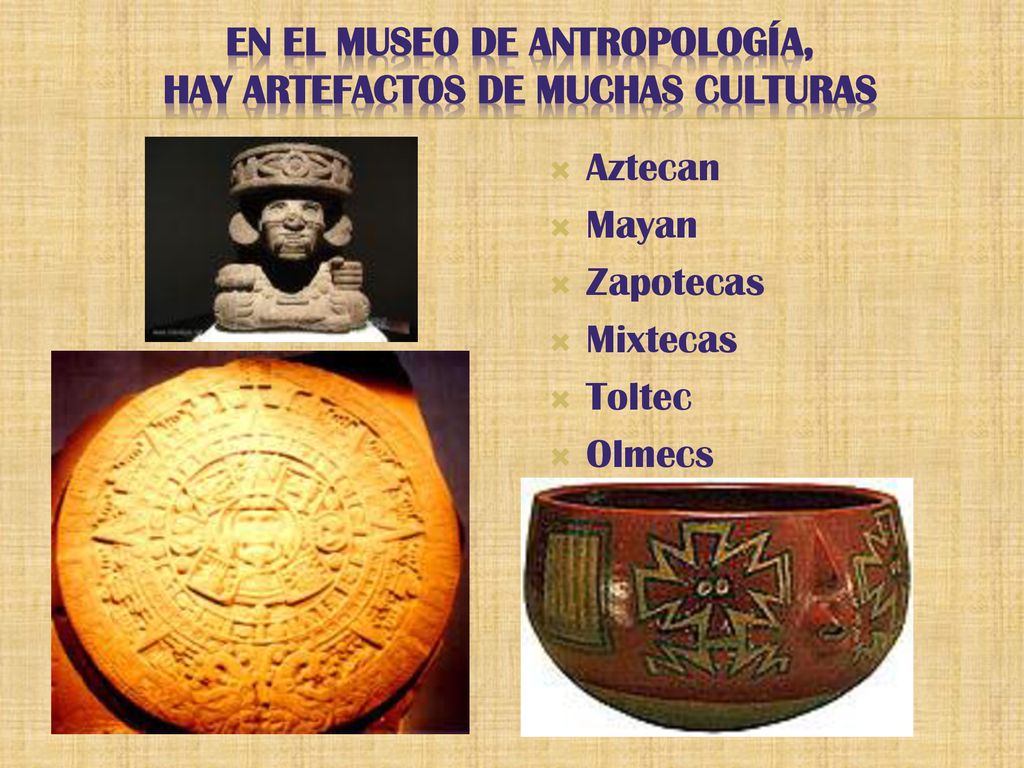 En el museo de antropología, Hay artefactos de muchas culturas