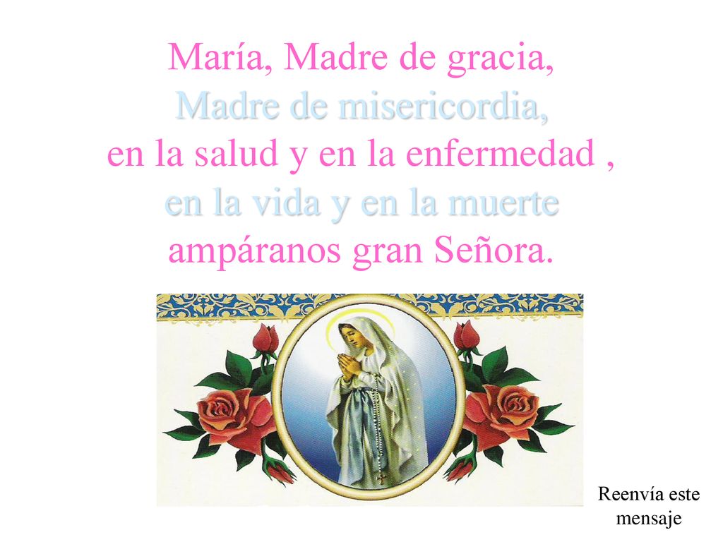 María, Madre de gracia, Madre de misericordia, en la salud y en la enfermedad , en la vida y en la muerte ampáranos gran Señora.