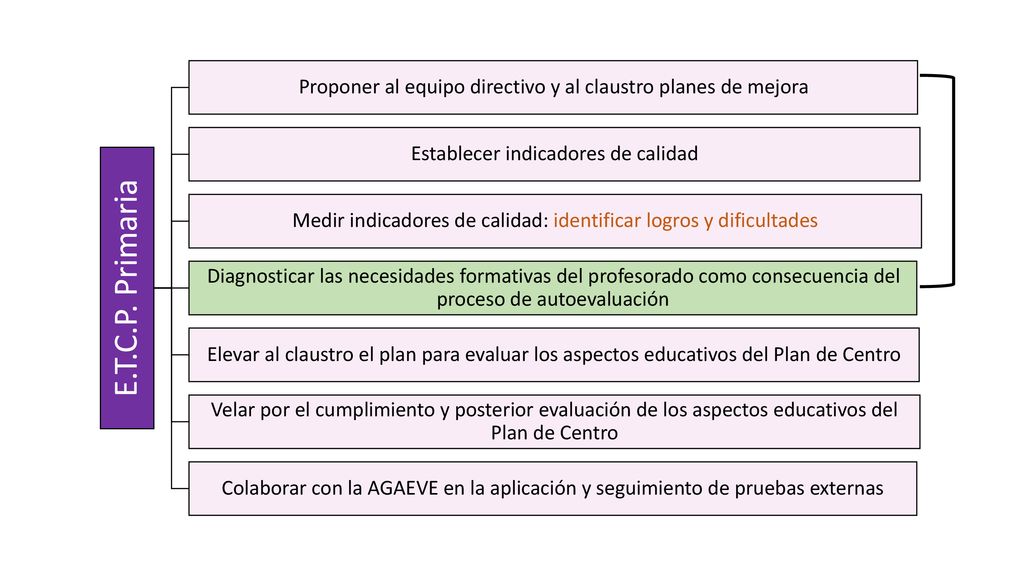 E.T.C.P. Primaria Proponer al equipo directivo y al claustro planes de mejora. Establecer indicadores de calidad.