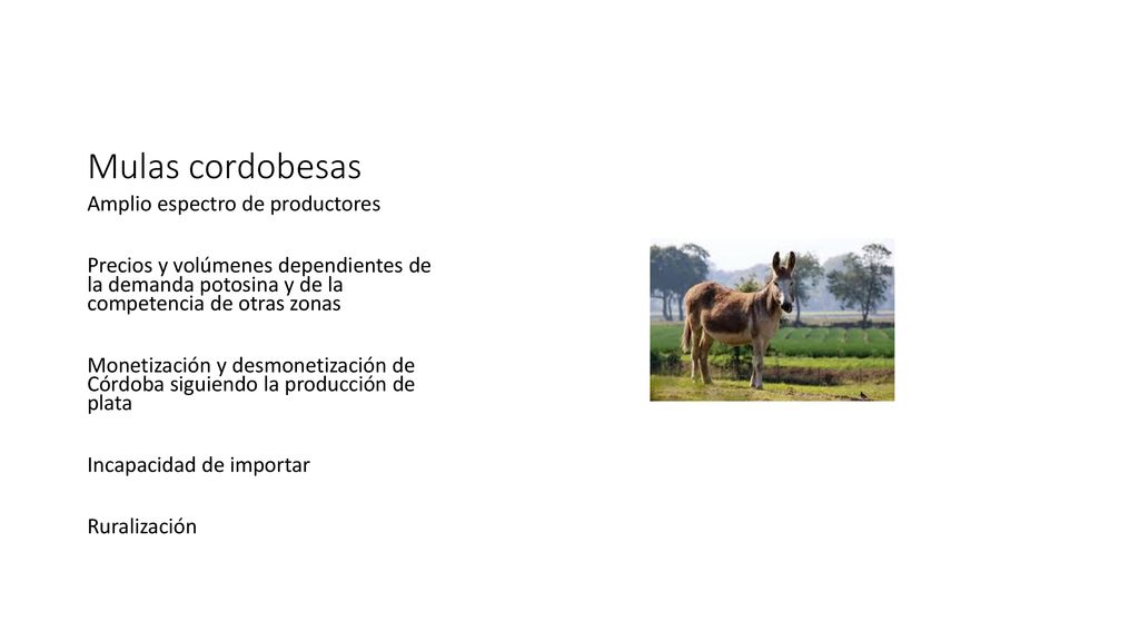 Mulas cordobesas Amplio espectro de productores