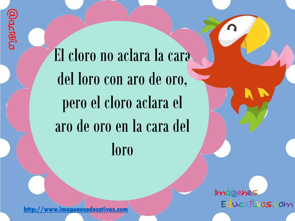 El cloro no aclara la cara del loro con aro de oro,