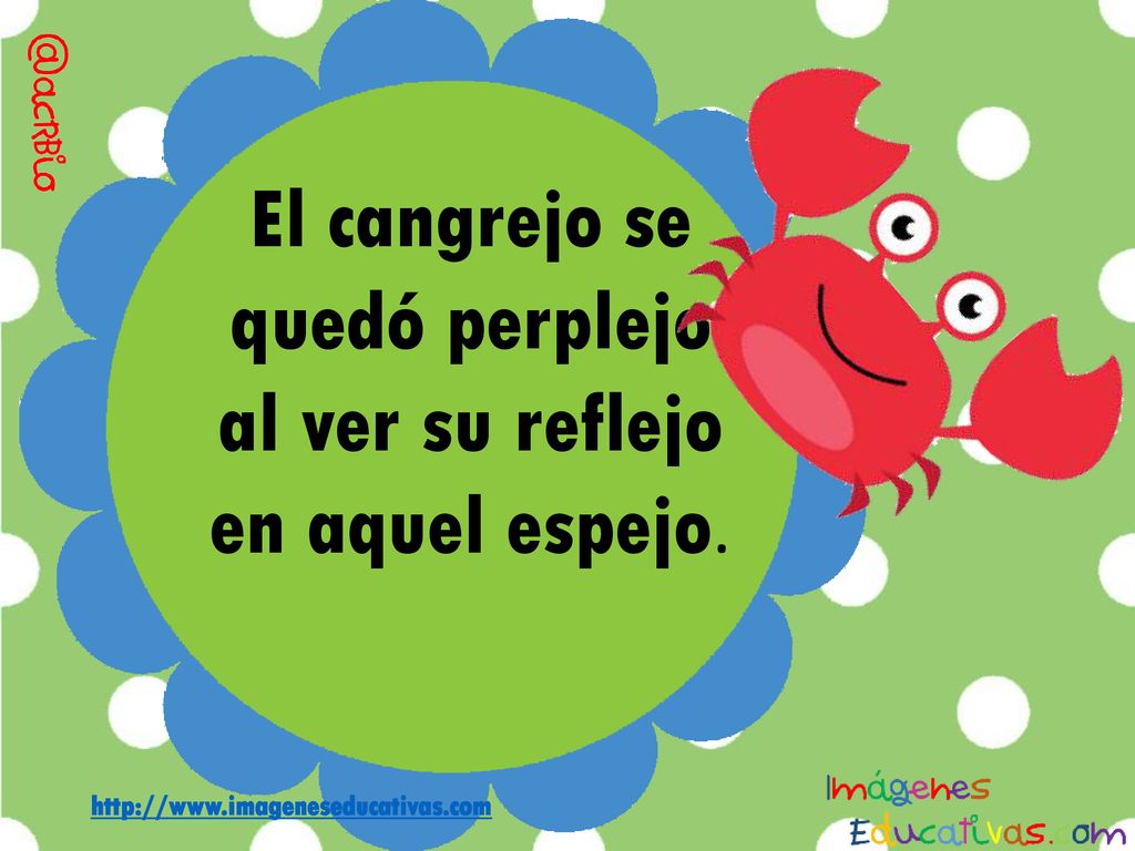 El cangrejo se quedó perplejo al ver su reflejo en aquel espejo.