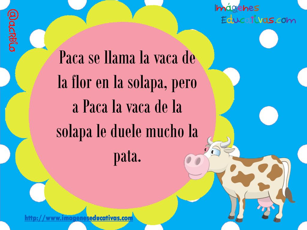 Paca se llama la vaca de la flor en la solapa, pero a Paca la vaca de la solapa le duele mucho la pata.