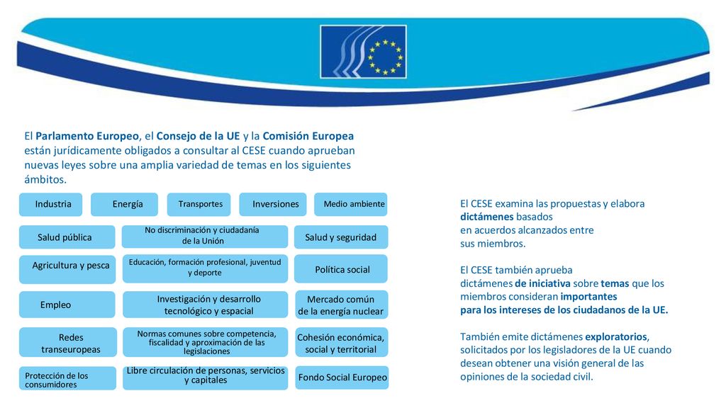 El Parlamento Europeo, el Consejo de la UE y la Comisión Europea están jurídicamente obligados a consultar al CESE cuando aprueban nuevas leyes sobre una amplia variedad de temas en los siguientes ámbitos.
