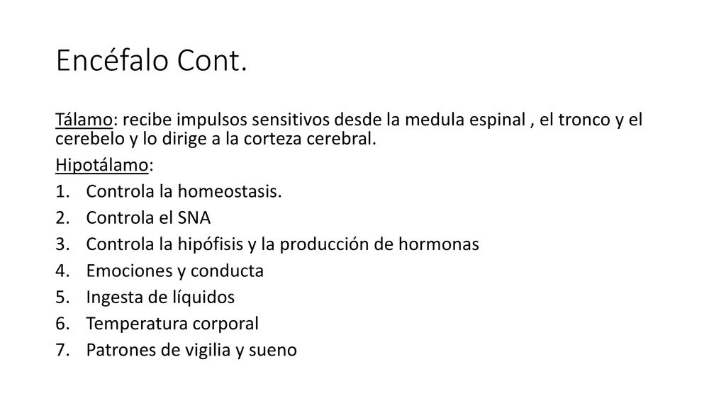 Encéfalo Cont. Tálamo: recibe impulsos sensitivos desde la medula espinal , el tronco y el cerebelo y lo dirige a la corteza cerebral.