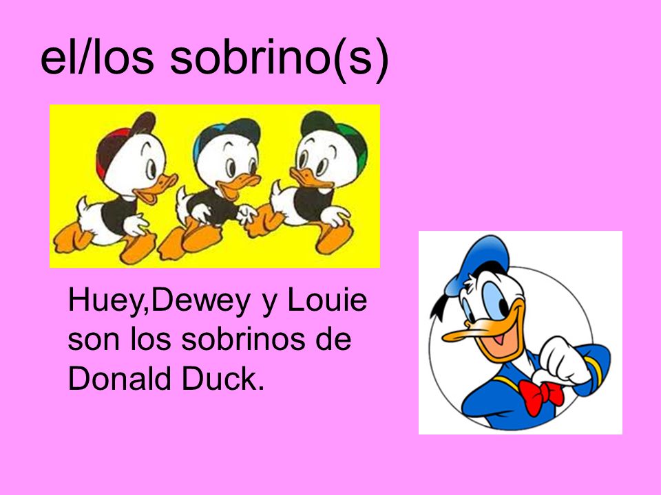 el/los sobrino(s) Huey,Dewey y Louie son los sobrinos de Donald Duck.