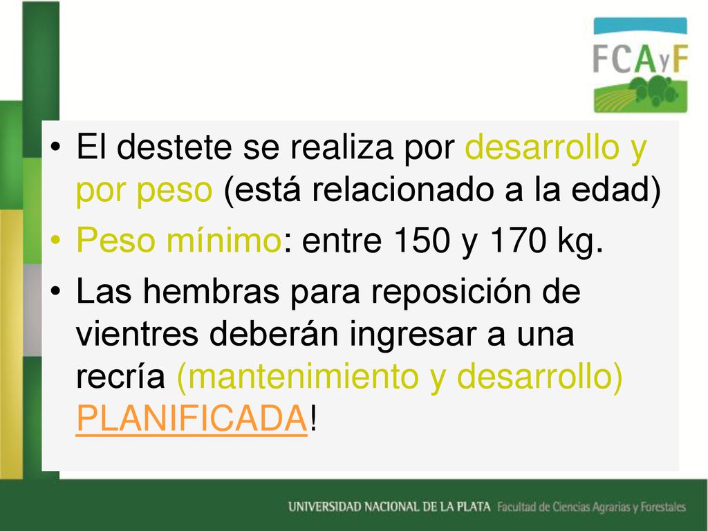 El destete se realiza por desarrollo y por peso (está relacionado a la edad)