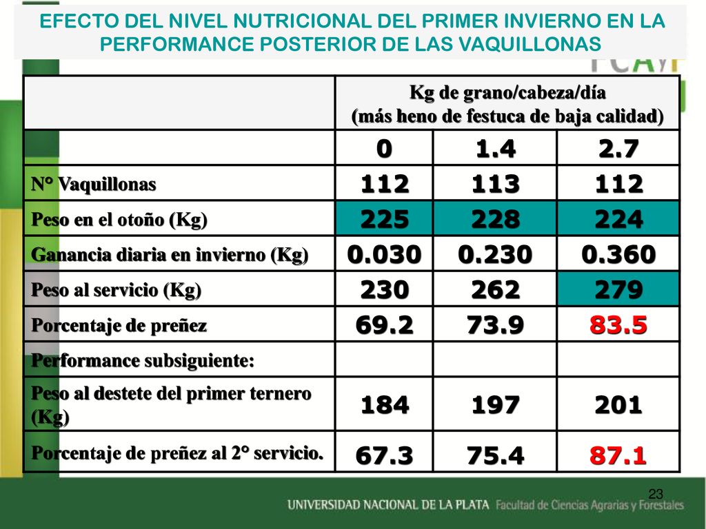 Kg de grano/cabeza/día (más heno de festuca de baja calidad)