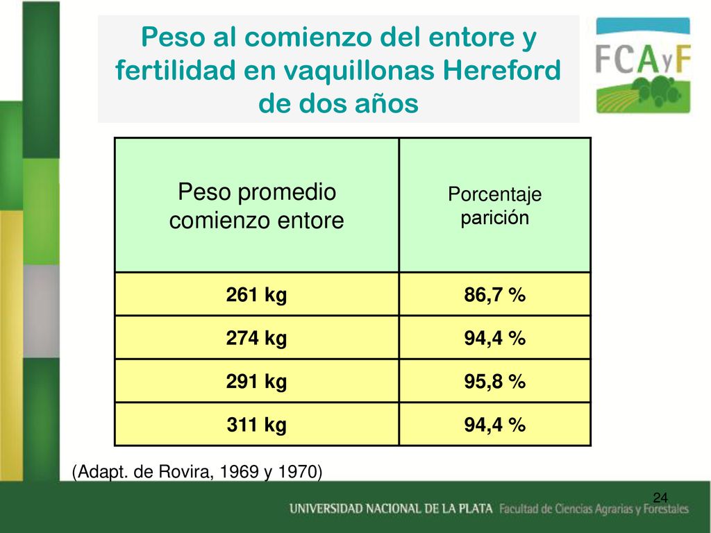 Peso al comienzo del entore y fertilidad en vaquillonas Hereford de dos años