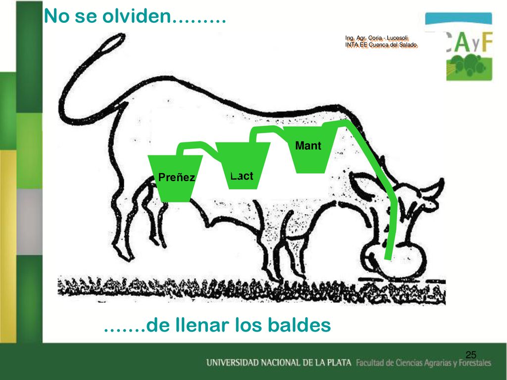No se olviden de llenar los baldes Mant Preñez Lact