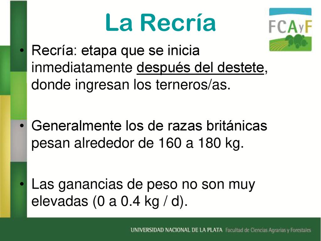 La Recría Recría: etapa que se inicia inmediatamente después del destete, donde ingresan los terneros/as.