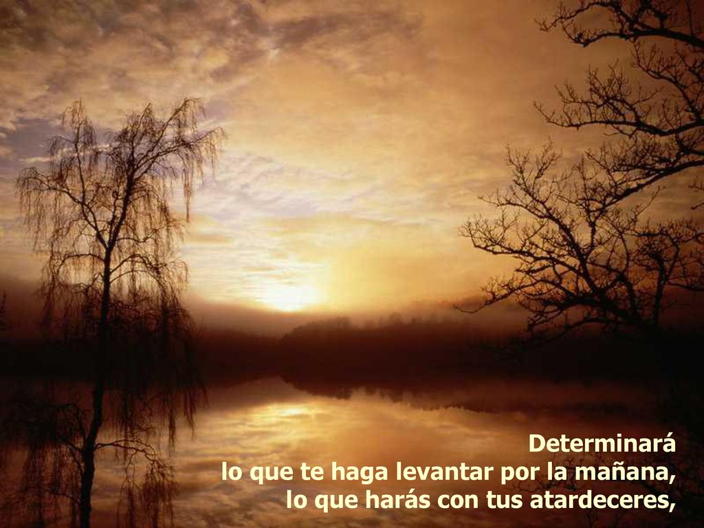Determinará lo que te haga levantar por la mañana, lo que harás con tus atardeceres,