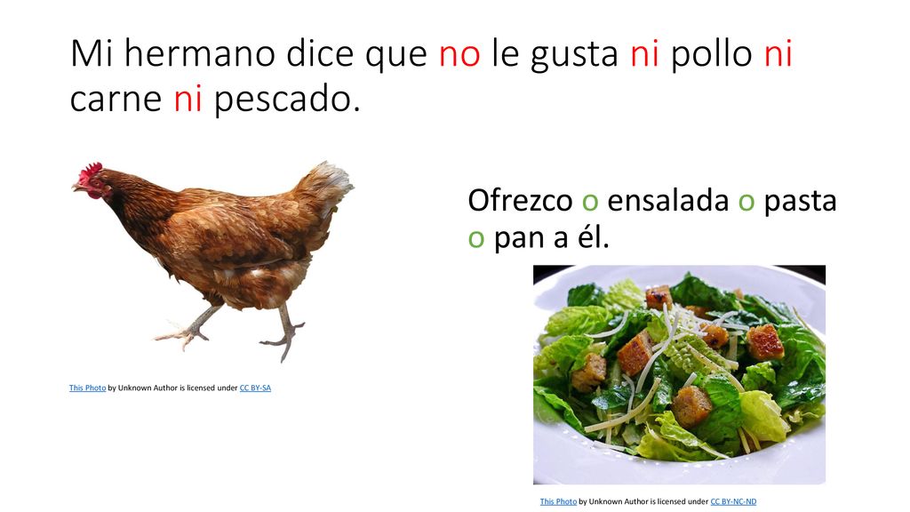Mi hermano dice que no le gusta ni pollo ni carne ni pescado.