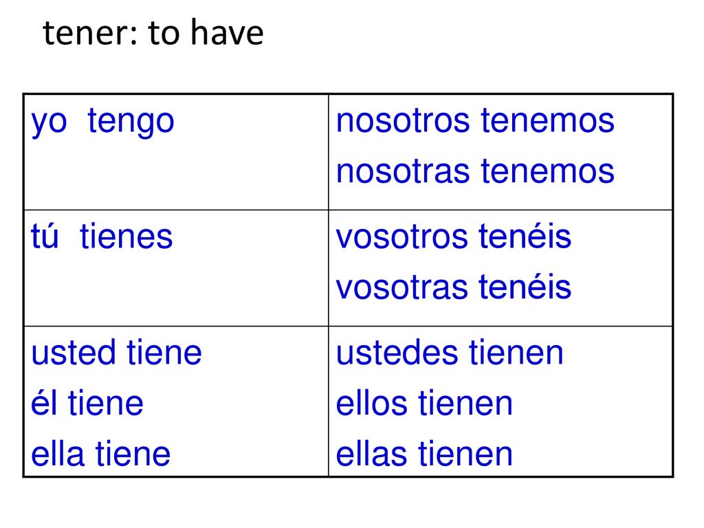 tener: to have yo tengo nosotros tenemos nosotras tenemos tú tienes