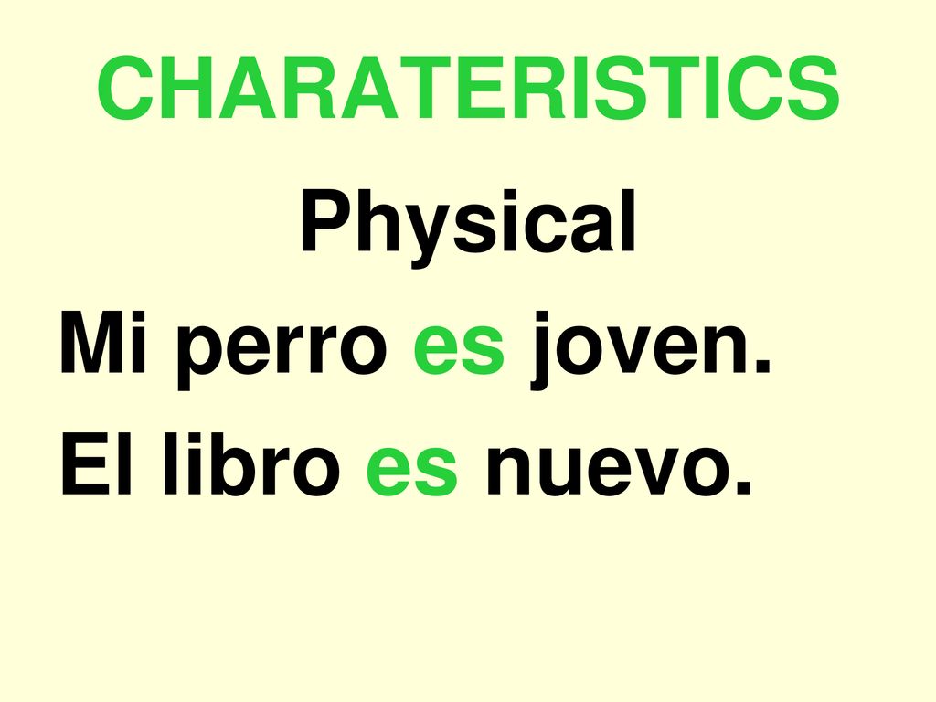 CHARATERISTICS Physical Mi perro es joven. El libro es nuevo.