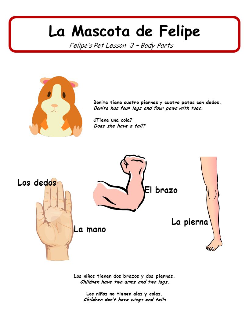 La Mascota de Felipe Los dedos El brazo La pierna La mano