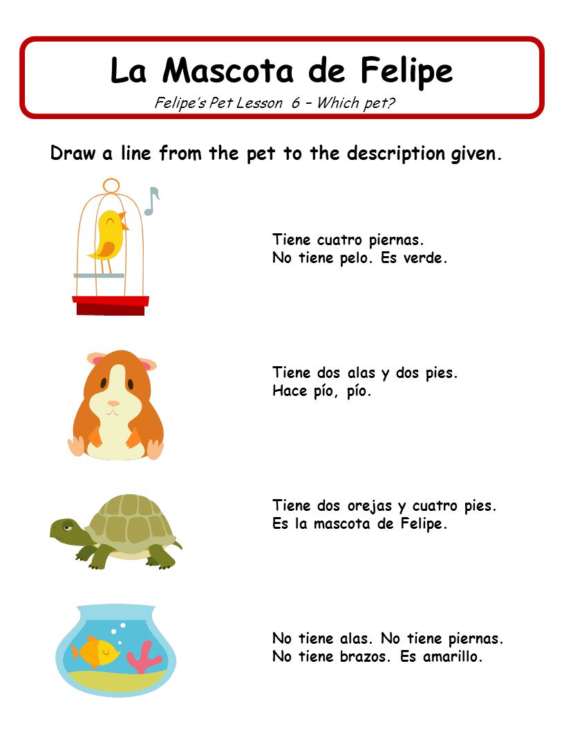 Draw a line from the pet to the description given.