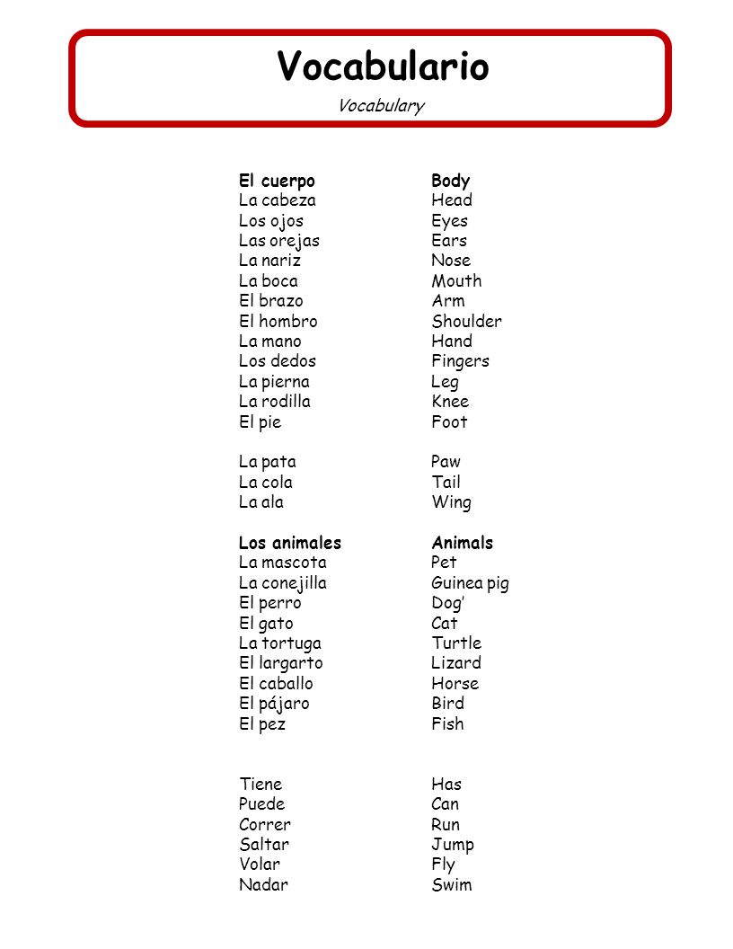Vocabulario Vocabulary El cuerpo Body La cabeza Head Los ojos Eyes