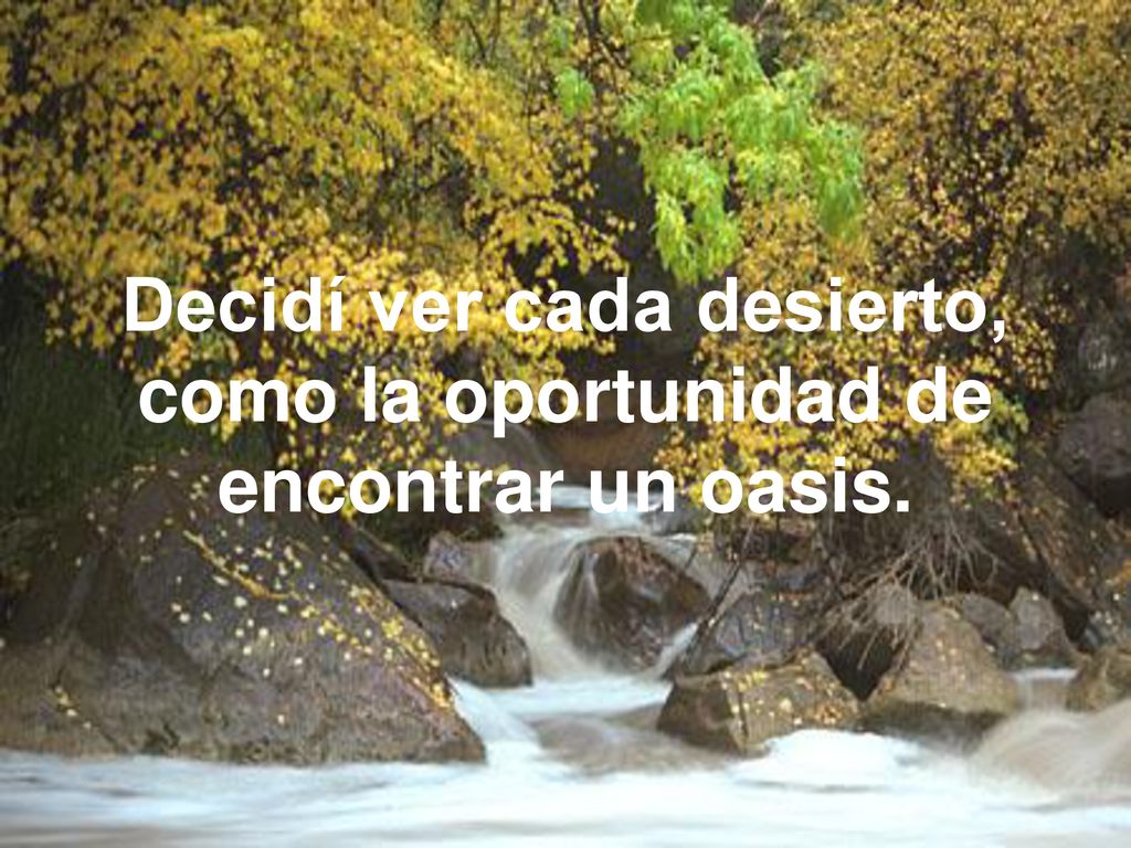 Decidí ver cada desierto, como la oportunidad de encontrar un oasis.