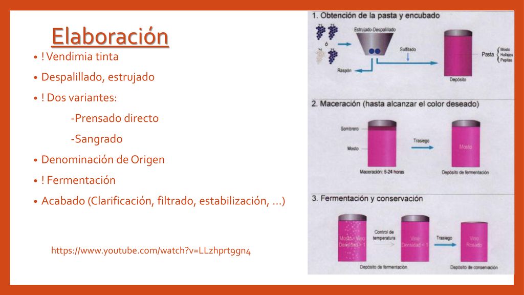 Elaboración ! Vendimia tinta Despalillado, estrujado ! Dos variantes: