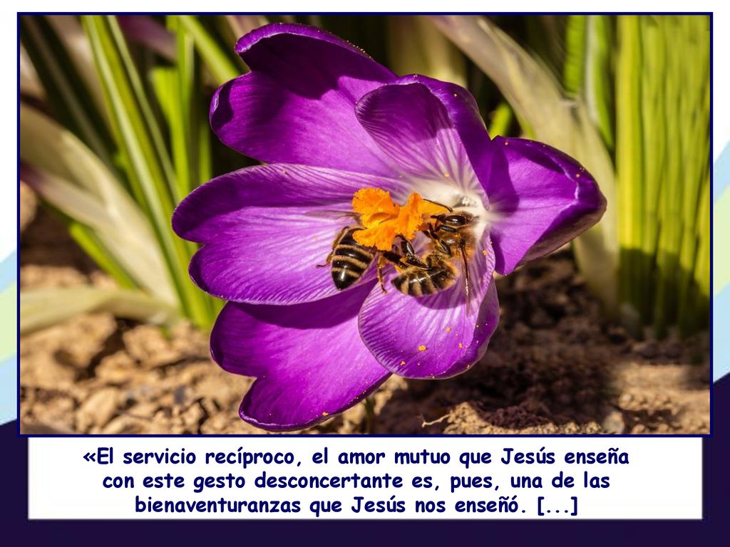 «El servicio recíproco, el amor mutuo que Jesús enseña con este gesto desconcertante es, pues, una de las bienaventuranzas que Jesús nos enseñó.