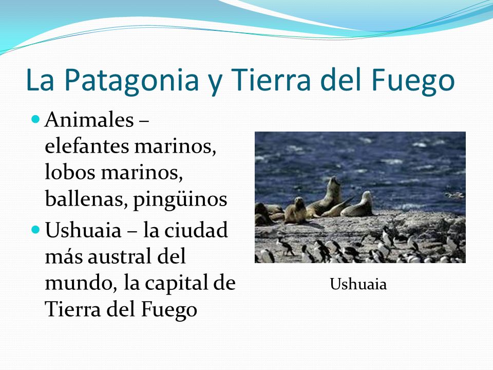 La Patagonia y Tierra del Fuego